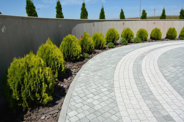 Best Driveway Paving Contractor  in Cleburne, TX
